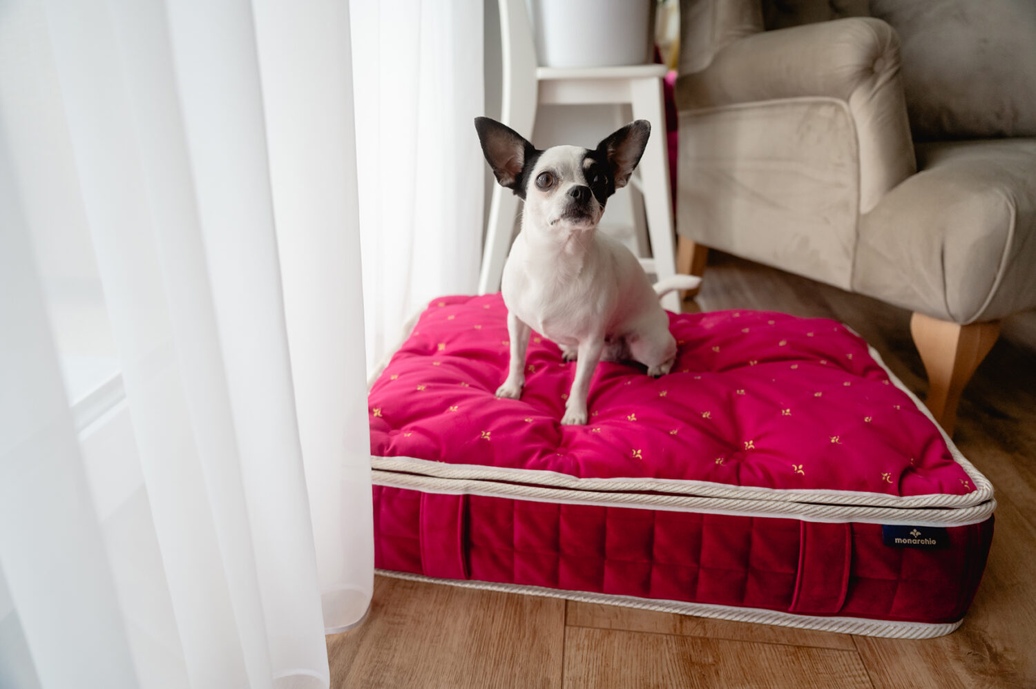 Windsor Mattress - Ruby, pet bed, dog bed