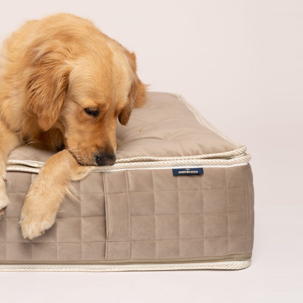 Windsor Mattress – Sandstone, pet bed, dog bed