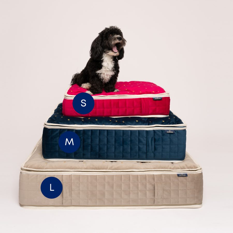 Mattresses pet bed, dog bed sizes